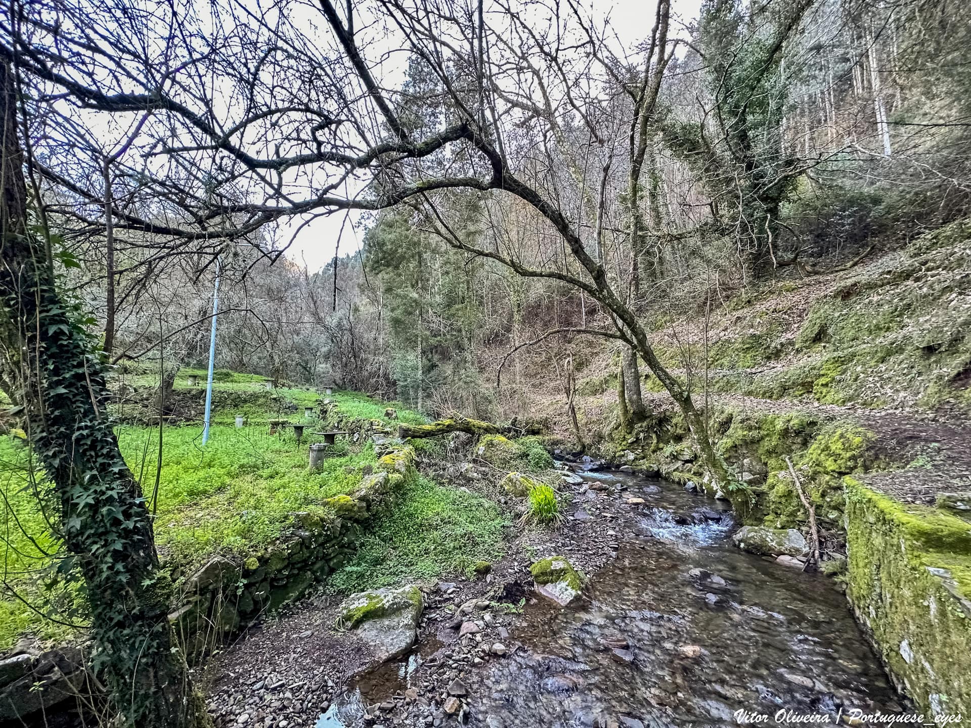 No sopé de uma vertente da Serra da Lousã, localiza-se Santuário da Nossa Senhora da Piedade de Tábuas, enquadrado por uma paisagem de rara beleza. A fundação e o fundador da capela, Domingos Pires, um rico lavrador, estão envoltos numa curiosa lenda de aparições e anjos escultores. O sítio onde se edificou a capela da Senhora da Piedade tinha antigamente o nome de Malhadinha e a ela vinha Domingues Pires esperar o regresso dos seus gados. Diz a lenda que a senhora apareceu a este venturoso lavrador, por várias vezes sobre um penhasco, numa gruta que ainda hoje existe na encosta fronteira do referido sítio da Malhadinha. Tratou logo Pires de edificar, no sítio da Malhadinha, uma casa à Senhora da Piedade, e depois de construída a capela, foi a Coimbra onde então havia bons escultores, para encomendar a imagem representando o transe doloroso em que tinha o seu Divino Filho morto nos seus braços. Chegou à cidade, ao antigo convento de Santa Clara, que está junto à ponte, e ali foi pousar, a uma casa que devia ser hospedaria. Pouco tempo depois de aqui chegar, entraram dois formosíssimos mancebos que perguntando-lhe o motivo da sua ida a Coimbra, e sabido por eles, disseram a Pires que eram escultores, e que se lhes quisesse encomendar a manufatura da imagem, que não ficaria descontente; e que mesmo já tinham feito algumas imagens, que lhe traziam para examinar, ao que Pires acedeu. No dia seguinte chegaram os dois escultores com uma perfeitíssima imagem da Santíssima Virgem da Piedade que mais parecia obra de anjos do que de homens, e exatamente semelhante à que lhe tinha aparecido na Malhadinha. Ficou Pires de sobremaneira alegre e satisfeito, sem querer ver mais nenhuma imagem, perguntou logo quanto esta custava. Disseram os mancebos que ficasse com a imagem, e no dia seguinte viriam tratar do ajuste; mas não vieram e Pires os andou buscando dois dias pela cidade, sem deles poder obter a menor notícia, nem na hospedaria houve quem os visse entrar ou sair. No fim de dois dias de buscas infrutíferas assentou Pires que os dois pretendidos escultores eram anjos que lhe tinham dado a imagem, e tratou de a levar Mondego acima, até ao lugar de Ceira e aí a colocou num carro seu, levando-a para casa até se concluir o seu altar. Foi uma dia de grande festa o da colocação da imagem na capela. A capela principal, datada da segunda metade do séc. XVI, encontra-se disposta cenograficamente numa elevação que se destaca numa garganta apertada da serra. Apresentase sóbria e valiosa, tanto artística como arquitetonicamente. Como de costume, desenvolveu-se o santuário ao longo do caminho de acesso, por meio de motivos secundários, que formam um todo: capela de S. José, cruzeiro e capela de Santo Amaro, fonte, a capela propriamente dita, ao que juntaram nas vertentes próximas umas capelas. Na madrugada do dia 15 de Novembro de 1998, um violento incêndio destruiu a capela irremediavelmente juntamente com grande parte do seu recheio interior. Seguiu-se a obra de recuperação, inaugurada em 2005. Aqui decorrem no Domingo a seguir ao dia 08 de Setembro, as festas em honra de Nossa Senhora da Piedade. Esta secular romaria teve outrora grande predileção do povo do concelho, e até de fora, o que justifica as hospedarias que circundam o santuário destinadas ao albergue dos forasteiros. A frondosa vegetação que rodeia este espaço e as águas puras e cristalinas que brotam das suas fontes transmitem uma sensação de frescura muito apreciada no verão, tornando este local bastante aprazível. <a href=" https://cm-mirandadocorvo.pt/1362/senhora-da-piedade-de-tabuas " rel="noreferrer nofollow">cm-mirandadocorvo.pt/1362/senhora-da-piedade-de-tabuas</a>