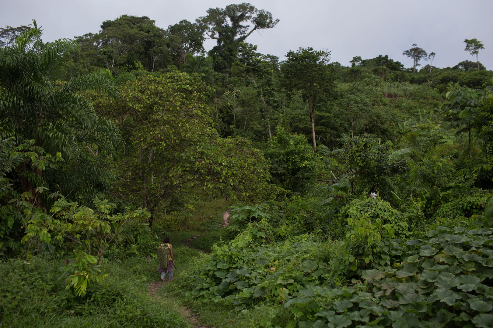 Aldeia Bananeira, onde vivem cerca de 200 Kanamari localizada no rio Itacoaí na Terra Indígena Vale do Javari. (Foto: Bruno Kelly/Amazônia Real).
