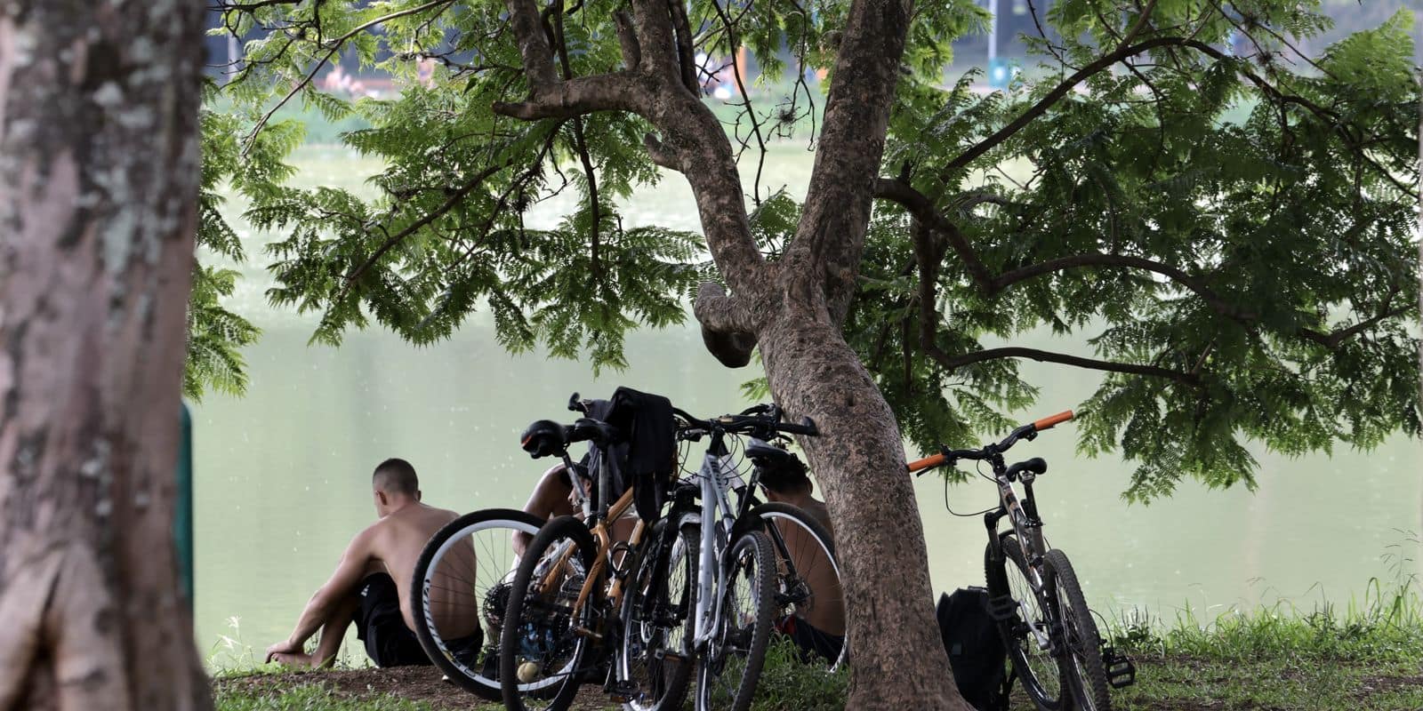 São Paulo (SP), 29/12/2025 - Pessoas no Parque Ibirapuera durante forte onda de calor na cidade. Foto: Paulo Pinto/Agência Brasil