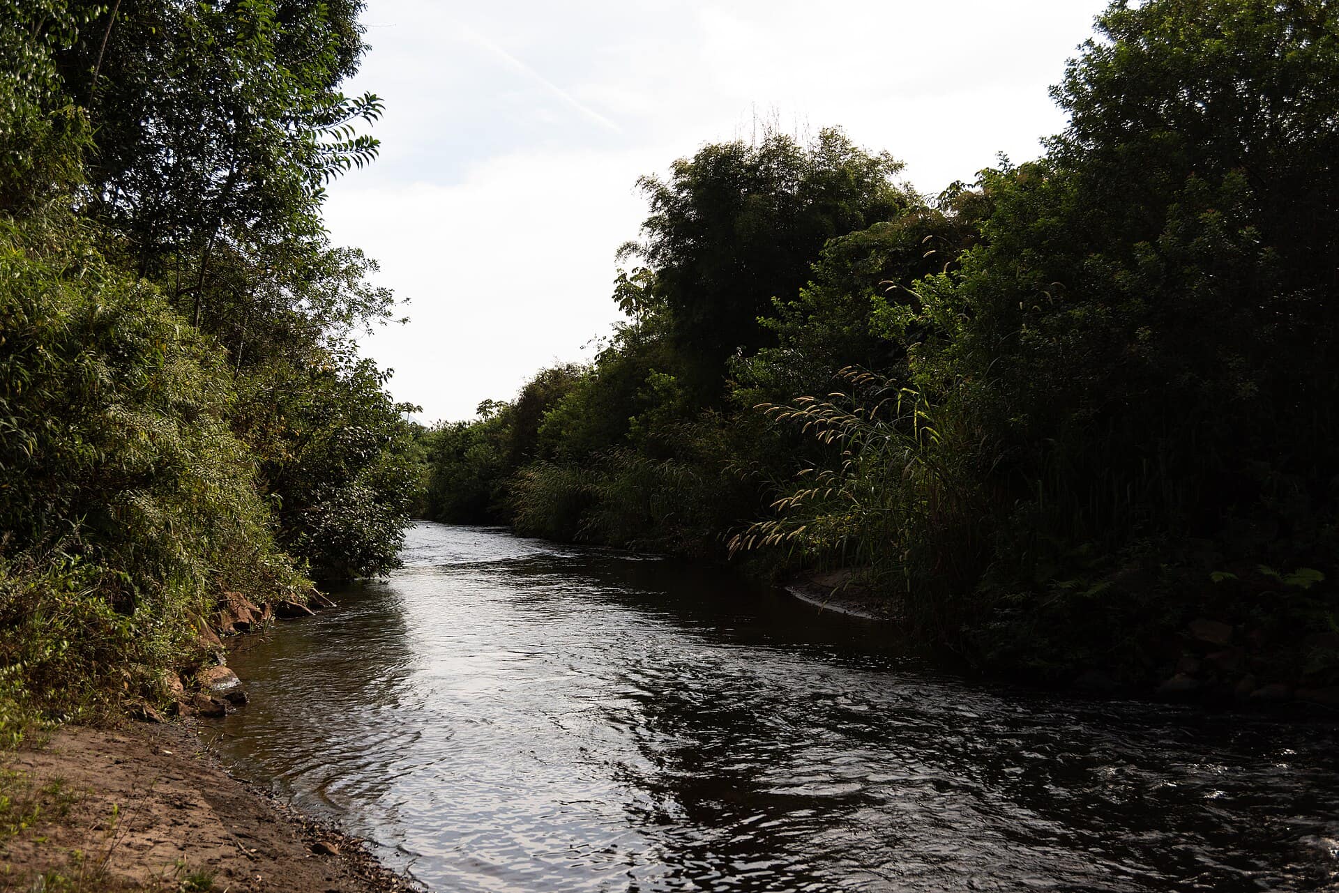 A reparação do Rio Doce em Bento Rodrigues é uma parte essencial do processo de recuperação após o desastre da barragem em 2015. O rompimento da barragem de Fundão liberou uma quantidade enorme de rejeitos de mineração, causando danos significativos ao ecossistema do rio e afetando diretamente as comunidades que dependem dele. Desde então, iniciativas têm sido implementadas para restaurar a qualidade da água e reabilitar os habitats naturais, buscando minimizar os impactos ambientais e sociais da tragédia. Entre as principais ações de reparação, destaca-se o monitoramento contínuo da qualidade da água do Rio Doce. A Samarco, em colaboração com órgãos governamentais e organizações não governamentais, tem trabalhado para implementar soluções que promovam a recuperação da biodiversidade local e a restauração do equilíbrio ecológico. Projetos de reflorestamento e recuperação de áreas degradadas são fundamentais para garantir que o rio possa sustentar a vida aquática e as comunidades que dele dependem. Além das ações ambientais, a reparação em Bento Rodrigues também se concentra em apoiar as comunidades afetadas. Muitas famílias dependem do rio para a pesca e a agricultura, e a contaminação afetou diretamente suas fontes de renda. Programas de compensação e desenvolvimento sustentável têm sido implementados para ajudar essas comunidades a se reerguerem, proporcionando alternativas econômicas e promovendo a participação ativa dos moradores nas decisões sobre a recuperação. A participação da comunidade é crucial para o sucesso da reparação do Rio Doce em Bento Rodrigues. Iniciativas que envolvem os moradores nas ações de recuperação e monitoramento garantem que suas necessidades e preocupações sejam consideradas. Essa abordagem colaborativa não só ajuda a restaurar a saúde do rio, mas também fortalece os laços sociais entre os residentes, promovendo um senso de pertencimento e responsabilidade compartilhada. Com um compromisso contínuo com a reparação, Bento Rodrigues e o Rio Doce estão em um caminho de recuperação e esperança para o futuro.