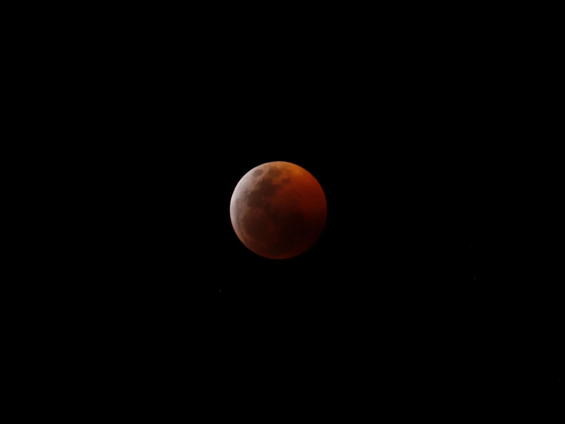 Domingo 20 de enero de 2019 Primer eclipse total de luna del año 2019, fenómeno natural que fue visible en México, la denominada Superluna Sangre de Lobo donde la Luna llena se vió relativamente más grande de lo normal porque estuvo más cerca de la Tierra, la peculiar coloración rojiza que da el origen al nombre se debe a la proyección de los rayos solares que atraviesan la atmósfera al momento de la alineación de la Tierra, la Luna y el Sol. Fotografía: David Sánchez/ Secretaría de Cultura de la Ciudad de México