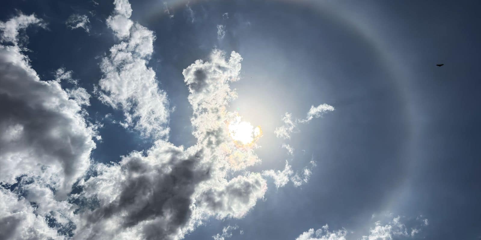 25/08/2026 - Brasília - Um halo de 22° circunda o Sol no céu de Brasília. O fenômeno óptico é formado pela refração da luz solar em cristais de gelo presentes em nuvens de grande altitude, criando um enorme anel luminoso ao redor do Sol. Foto: Rafa Neddermeyer/ Agência Brasil