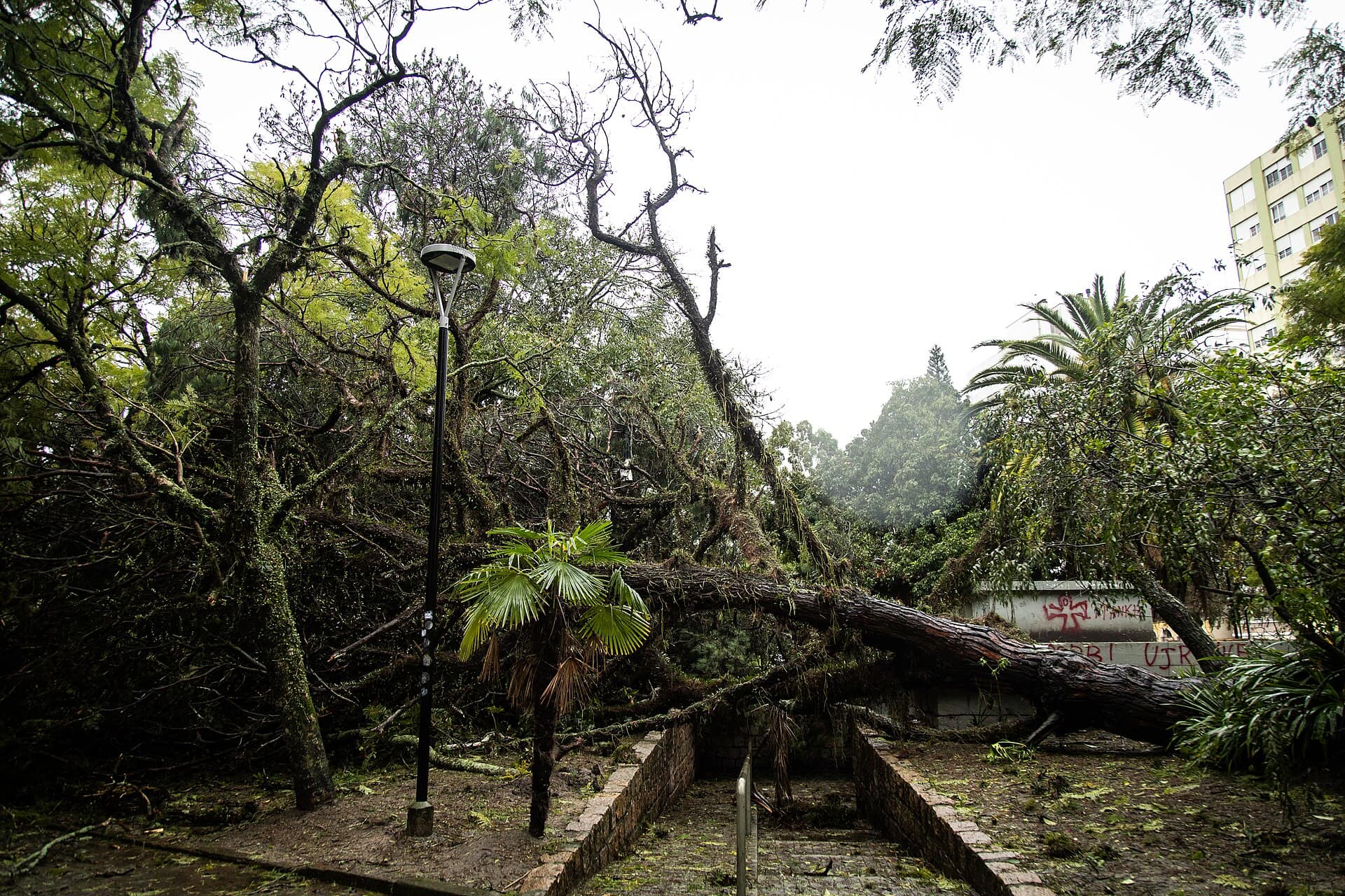 13.07.2023 - Estrados causados pelo Ciclone extratropical na cidade - Foto Michel Corvello