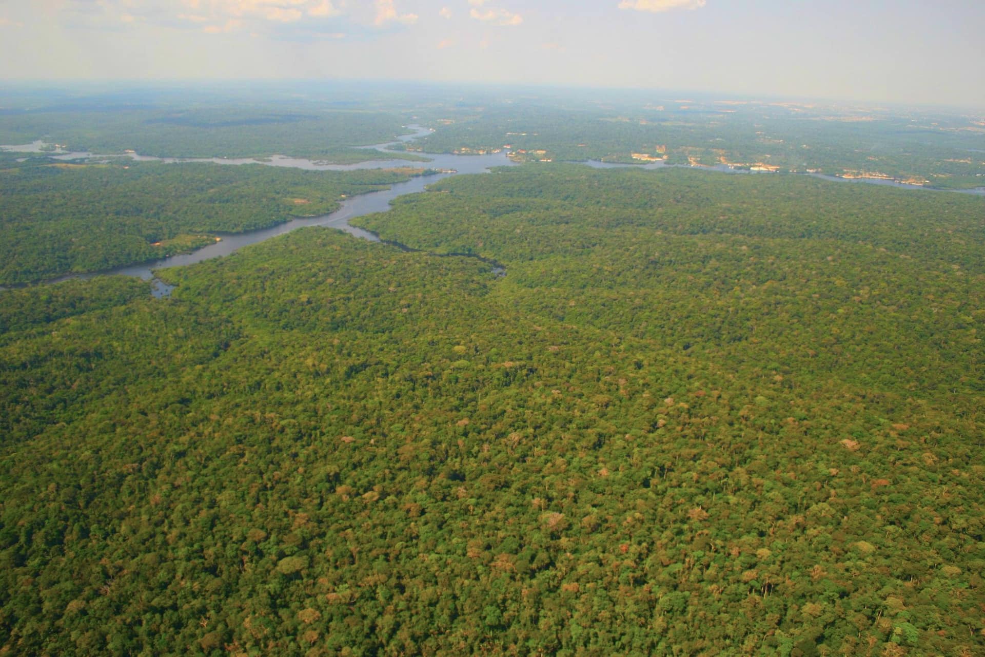 amazon rainforest manaus APA Margem Esquerda do Rio Negro